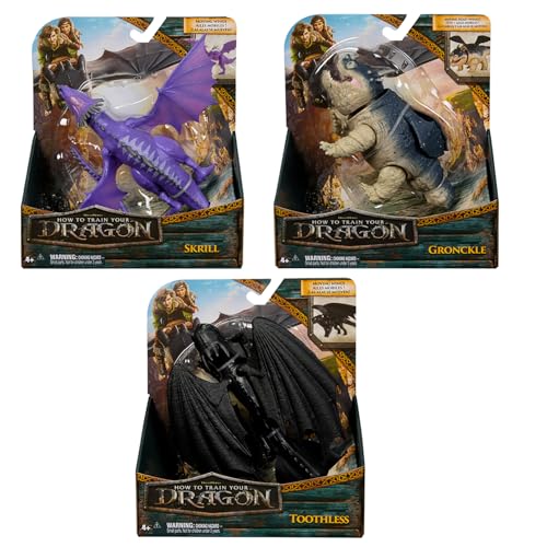 So trainieren Sie Ihren Drachen: kleine Dragons (Asst) von Dragons