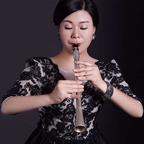 Drfeify Mini Tragbares Saxophon Kleines Saxophon mit Zarten Designs für das Einfache Lernen und die Praxis von Holzwindinstrumenten für Musikalische Amateure (BB) von Drfeify