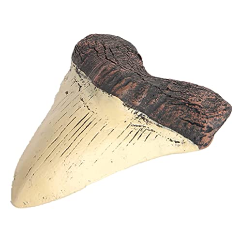 Droagoct Megalodon Tooth Fossil Riesenhaifischzahn Megalodon Tooth Resin Replica von Droagoct