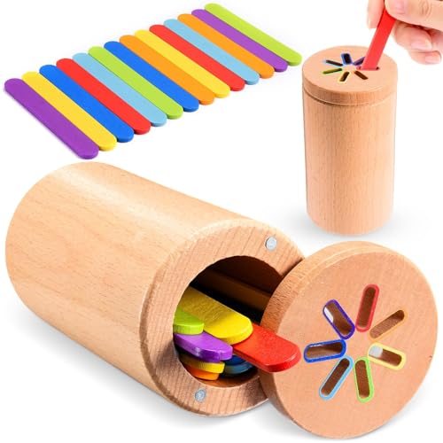 Dromlag Montessori Spielzeug ab 1 2 3 Jahre,Steckspiel ab 1 2 3 Jahr Holz Farbe Sortierspielzeug Holzspielzeug ab 1 2 3 Jahr Montessori Spielzeug Baby Spielzeug 1 Jahr Sensorik Spielzeug Baby von Dromlag