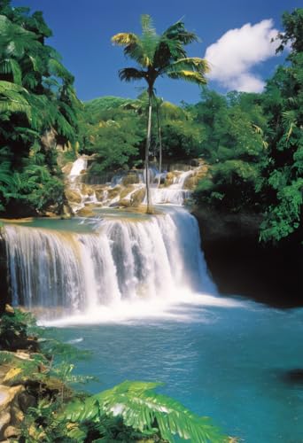 1000 Teile herausforderndes Puzzle für Erwachsene, Dunn's River Falls In Jamaika, Holz-Puzzle, DIY, Familienunterhaltung, interaktives Spaß-Puzzle, Geschenke, Kunst, Heimdekoration von Dsawqezh