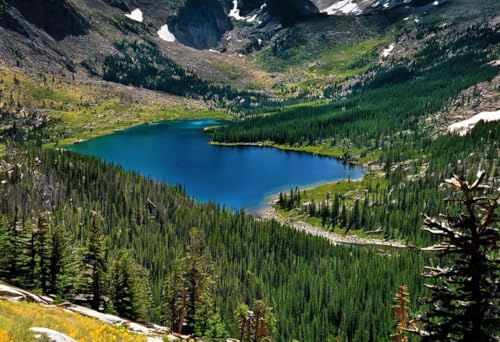 1000 Teile herausforderndes Puzzle für Erwachsene, Rocky Mountain National Park, Holz-Puzzle, DIY, Familienunterhaltung, interaktives Spaß-Puzzle, Geschenke, Kunst, Heimdekoration 1000 Teile herausforderndes Puzzle für Erwachsene, Rocky Mountain National Park, Holz-Puzzle, DIY, Familienunterhaltung, interaktives Spaß-Puzzle, Geschenke, Kunst, Heimdekoration von Dsawqezh