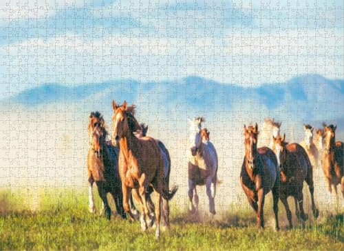 1000-teiliges Puzzle für Erwachsene, Puzzle, Pferde, Laufen, kostenlose Puzzles für Jugendliche und Kinder, um ihr Gehirn zu trainieren, Holzpuzzle 1000-teiliges Puzzle für Erwachsene, Puzzle, Pferde, Laufen, kostenlose Puzzles für Jugendliche und Kinder, um ihr Gehirn zu trainieren, Holzpuzzle von Dsawqezh