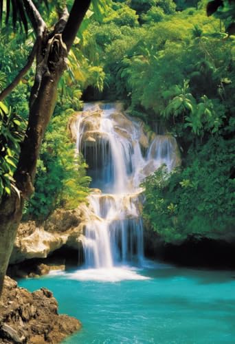 Puzzle für Erwachsene, Dunn's River Falls In Jamaika, herausforderndes Puzzle, perfekt für Spieleabende, Puzzlespiel 1000 Teile und höher, Puzzle-Spiel für Familie, Eltern-Kind-Feiertage, Puzzles für Puzzle für Erwachsene, Dunn's River Falls In Jamaika, herausforderndes Puzzle, perfekt für Spieleabende, Puzzlespiel 1000 Teile und höher, Puzzle-Spiel für Familie, Eltern-Kind-Feiertage, Puzzles für von Dsawqezh
