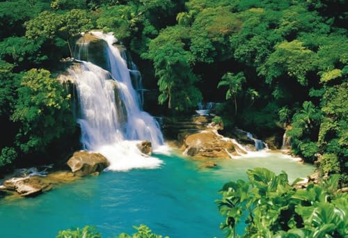 Puzzle für Erwachsene, Dunn's River Falls In Jamaika, herausforderndes Puzzle, perfekt für Spieleabende, Puzzlespiel 1000 Teile und höher, Puzzle-Spiel für Familie, Eltern-Kind-Feiertage, Puzzles für Puzzle für Erwachsene, Dunn's River Falls In Jamaika, herausforderndes Puzzle, perfekt für Spieleabende, Puzzlespiel 1000 Teile und höher, Puzzle-Spiel für Familie, Eltern-Kind-Feiertage, Puzzles für von Dsawqezh