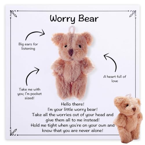 Dszemie Pocket Hug, Hug Bear with Card, Good Luck Gifts for Friends, Emotionale Unterstützung für Angstlinderung, herzerwärmende Taschenumarmung für Familie Freunde Geburtstag (Fluff) von Dszemie