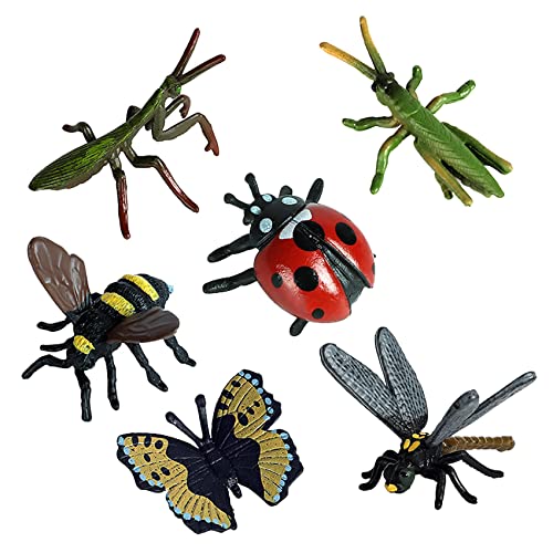 Duendhd 6 StüCk Kinder Simulation Insekt Tier Modell Set für Kinder Bildung Insekt Themen Party B von Duendhd