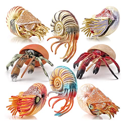 Duyeuau Realistisches Modell Einsiedlerkrebs-Figur, ausgefallene Aquarium-Zubehör, Miniatur-Statue, Klassenzimmer, Wissenschaftsbedarf Duyeuau Realistisches Modell Einsiedlerkrebs-Figur, ausgefallene Aquarium-Zubehör, Miniatur-Statue, Klassenzimmer, Wissenschaftsbedarf von Duyeuau