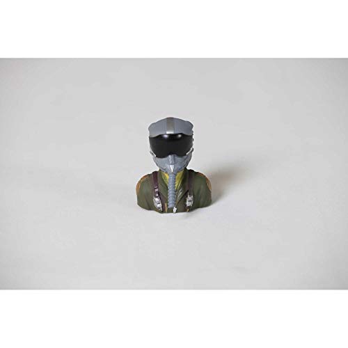 Pilot: Su-30 70mm EDF von E-Flite