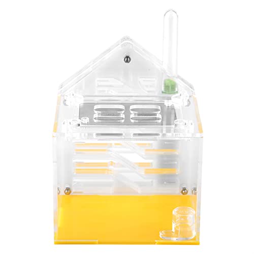 EBTOOLS Acrylvilla Farm House Formicarium - F Bildungsspielzeug Für von EBTOOLS
