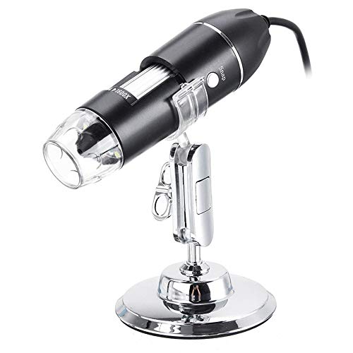 EBTOOLS Digitalmikroskop 1600x USB -Handheld -Magnifier 8 LED für & Leicht und Vielseitig für Forschung, Schmuckidentifikation EBTOOLS Digitalmikroskop 1600x USB -Handheld -Magnifier 8 LED für & Leicht und Vielseitig für Forschung, Schmuckidentifikation von EBTOOLS