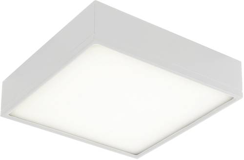 ECO-Light LED-KLIO-Q21 LED-KLIO-Q21 LED-Deckenleuchte LED 36W Weiß von ECO-Light