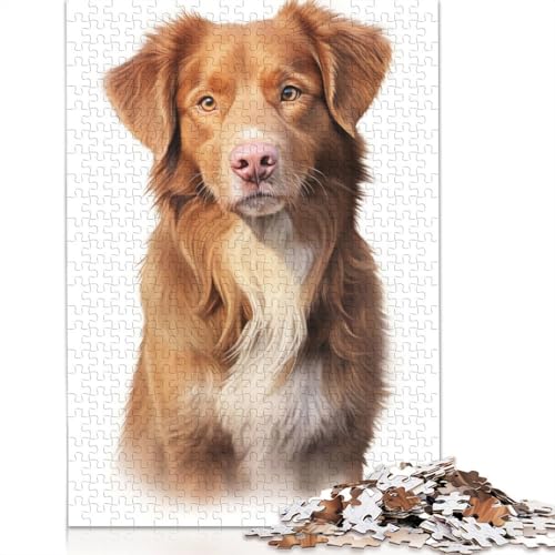 Nova Scotia Duck Dog Puzzle für Erwachsene, Entspannungs-Herausforderungsspielzeug, Erwachsenen-Puzzles für Frauen, für Kinder ab 12 Jahren, 520 Teile (52 x 38 cm) von ECXASD