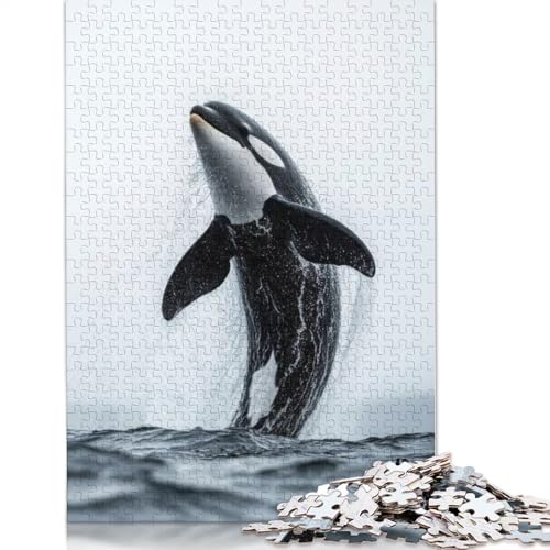 Orca-Wal springt aus dem Wasser. Puzzle, herausfordernd und knifflig. Puzzle für Männer, Geschenke für Erwachsene und Teenager, 1000 Teile (75 x 50 cm). von ECXASD