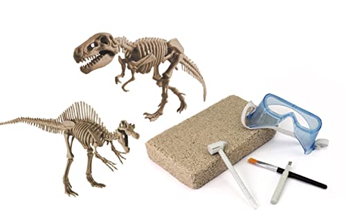 Großes 2in1 Dinosaurier Ausgrabungsset mit Werkzeug Spinosaurus und Tyrannosaurus Rex in schwerem Sandblock von EDU-TOYS