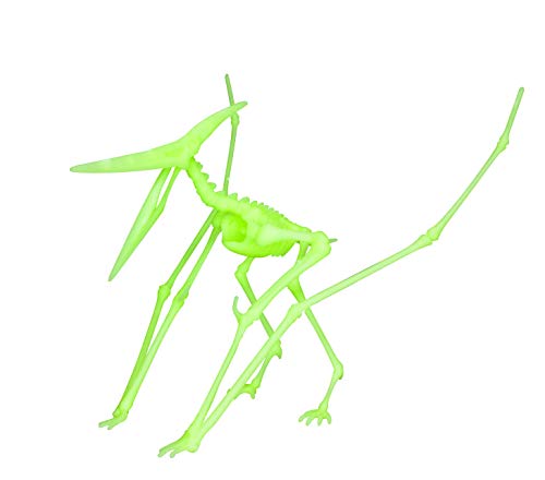 EDU-TOYS Flugsaurier Pterodactylus nachtleuchtender Schnellbausatz von EDU-TOYS