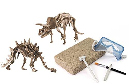 Großes 2in1 Dinosaurier Ausgrabungsset mit Werkzeug Triceraptops und Stegosaurus in schwerem Sandblock von EDU-TOYS