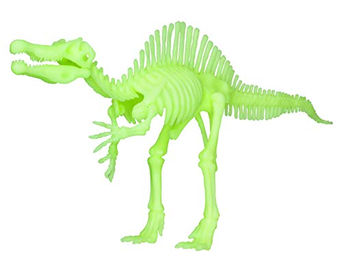 EDU-TOYS Spinosaurus nachtleuchtender Schnellbausatz von EDU-TOYS