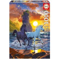 EDUCA 9219025 Puzzle 1000 Teile Einhorn Vincent Hie von EDUCA