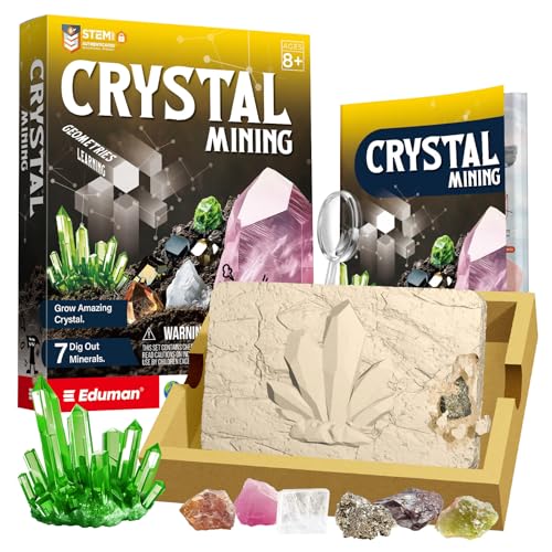 EDUMAN Edelstein- und Kristallgraben-Set – Kinder-Kristall-Anbau- und Grabset mit 7 Mineralien und Steinen, Experimente, Wissenschafts-Kits für Kinder, pädagogisches STEM-Geologie-Spielzeug, Geschenk von EDUMAN