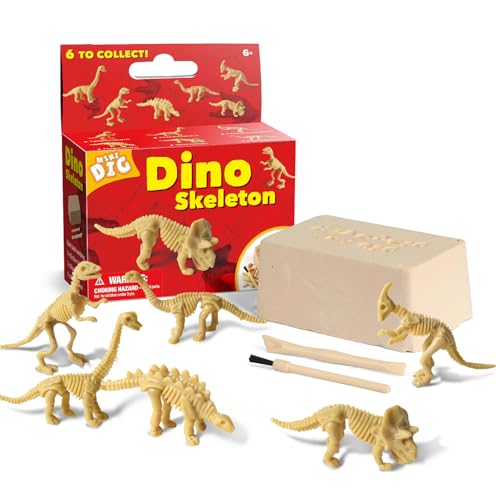 EDUMAN Mini Dig, Dino Skelett, 6 sortiert von EDUMAN