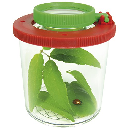 Eduplay 150006 Lupendose, groß, transparent, 1 stück Eduplay 150006 Lupendose, groß, transparent, 1 stück von EDUPLAY