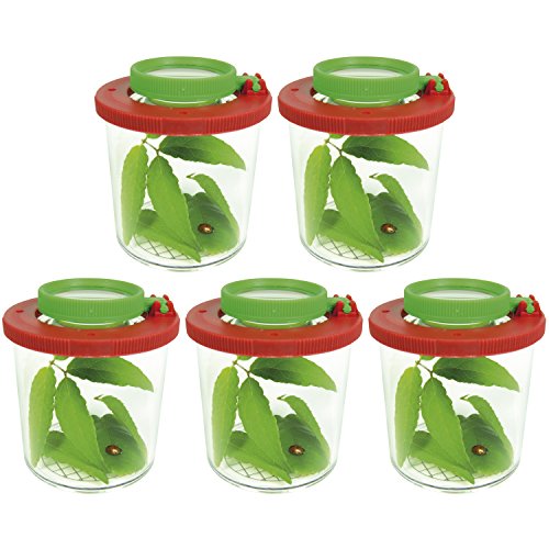 EDUPLAY Lupendose Ø 6 cm, H 7 cm, mit Plastikspinne, Stück:5 Stück von EDUPLAY