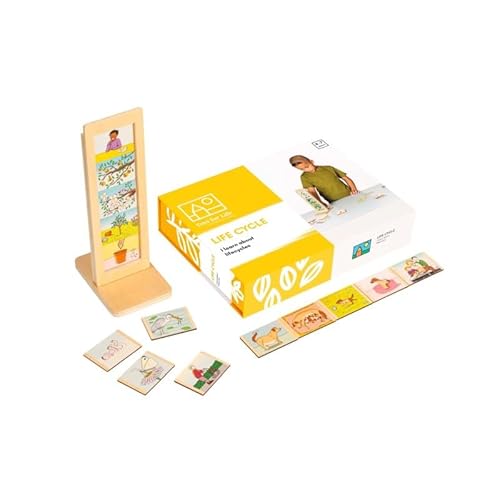 Life Cycle von EDUPLAY