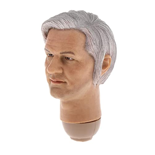 EHJRE 1:6 Skala Kopf Skulptur Modell für 12 Zoll Hot Toys DML DID Körper Zubehör EHJRE 1:6 Skala Kopf Skulptur Modell für 12 Zoll Hot Toys DML DID Körper Zubehör von EHJRE