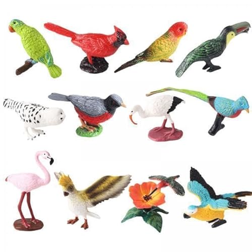 EHJRE 2X 12 Stück Realistische Tier Modell Miniatur Vogel Figuren Set Tier Figuren für Sammlung EHJRE 2X 12 Stück Realistische Tier Modell Miniatur Vogel Figuren Set Tier Figuren für Sammlung von EHJRE