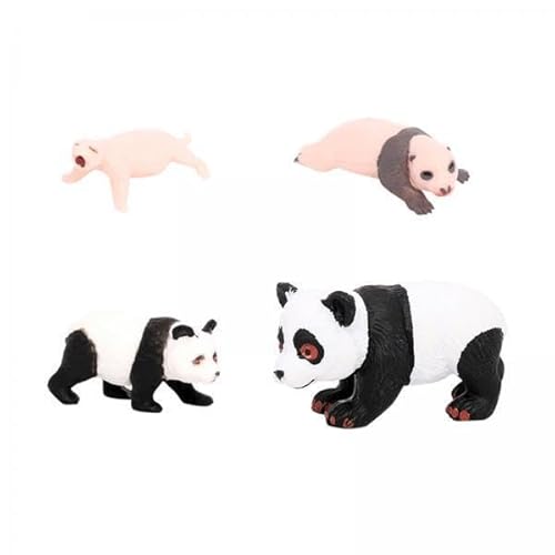 EHJRE 2X 4X Tier Panda Lebenszyklus Modell Zubehör Klassenzimmer Lernspielzeug Liefert Desktop Dekoration Kognitive Spielzeug von EHJRE