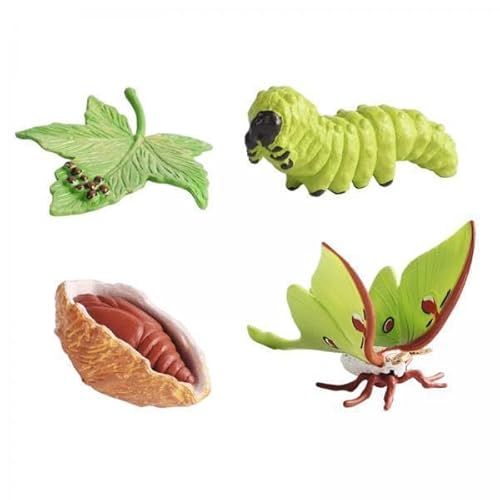 EHJRE 2X Simulationslebenszyklus Figuren Lernen Bildungsspielzeuglehre Hilfsmittel Kognitive Frühe Spielzeugspielset Animal Life Cycle Modell für Kleinkind EHJRE 2X Simulationslebenszyklus Figuren Lernen Bildungsspielzeuglehre Hilfsmittel Kognitive Frühe Spielzeugspielset Animal Life Cycle Modell für Kleinkind von EHJRE