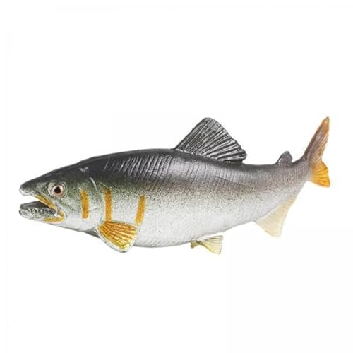 EHJRE 5X Fisch Figur Spielzeug Desktop Decor Geburtstag Geschenke Realistische Aquarium Dekorationen EHJRE 5X Fisch Figur Spielzeug Desktop Decor Geburtstag Geschenke Realistische Aquarium Dekorationen von EHJRE