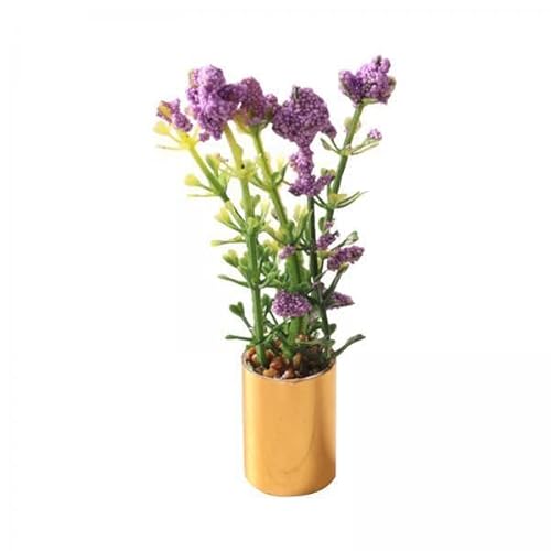 EHJRE 5X Mini Puppenhaus Topfpflanze Modell, Miniatur Topf, Miniatur Blumen Bonsai Ornament von EHJRE