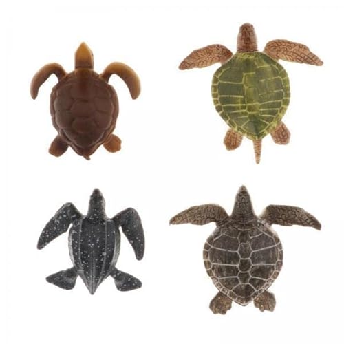 EHJRE 5X Tierfiguren Tier Spielzeug 4PCS Mini Meeres Meer Meeresschildkröten Figuren Ozeantiere EHJRE 5X Tierfiguren Tier Spielzeug 4PCS Mini Meeres Meer Meeresschildkröten Figuren Ozeantiere von EHJRE
