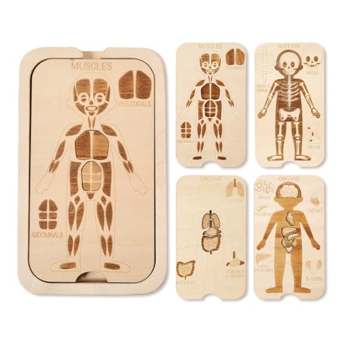 EHJRE Körperpuzzle Aus Holz, Lernspielzeug, Leichtes, Dekoratives 4 Schichten Puzzle für Den Kindertag zu Hause, Kinder, Mädchen Im Alter von 3, 4, 5, 6 EHJRE Körperpuzzle Aus Holz, Lernspielzeug, Leichtes, Dekoratives 4 Schichten Puzzle für Den Kindertag zu Hause, Kinder, Mädchen Im Alter von 3, 4, 5, 6 von EHJRE