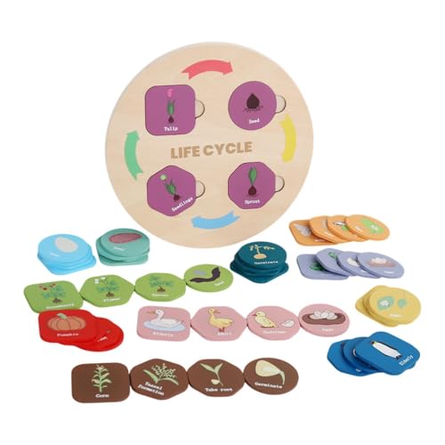 EHJRE Lebenszyklus Tablett, Geschenk für Jungen Und Mädchen, Homeschool Alter 3 4 5 6 7 8+ EHJRE Lebenszyklus Tablett, Geschenk für Jungen Und Mädchen, Homeschool Alter 3 4 5 6 7 8+ von EHJRE