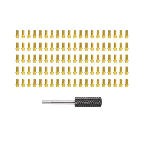 EHxCUF Kompatible Beadlock-Ringschrauben Kompatibel mit 1/10 RC Crawler Car 100 Stück M2 M3 Stahlschrauben Kompatibel mit VS4-10 1.9 2.2 Felgen AXI03007(GOLDEN M2 4MM 100PCS) von EHxCUF