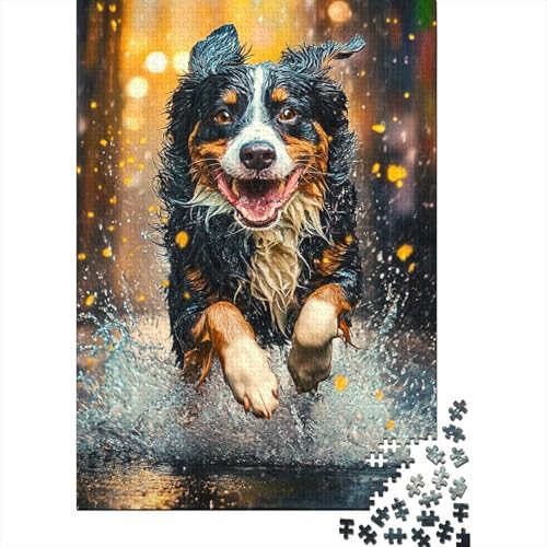Australian Shepherd Puzzle 1000 Teile Schwer Puzzle Spielzeug Lernspiel Impossible Herausforderungsspielzeug Für Erwachsene Und Kinder Ab 14 Jahren 1000pcs (75x50cm) von EKZLQJWPN