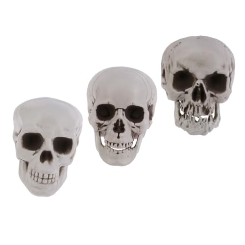 ELAYARD 3 Stück Teiliges Halloween Schädel Kunststoff Deko Realistische Totenköpfe Gruselige Party Requisiten für Horror Themenpartys und Geisterhaus Dekoration von ELAYARD