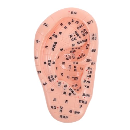 ELAYARD Ohrmodell Ohrenmodell Akupunktur-Ohr-Modell Simulationsmodell des menschlichen Ohrs Ohrzonenmodell Ohrakupunkturmodell Ohr-Akupunkturpunkt-Anzeigemodell Gummi Rosa ELAYARD Ohrmodell Ohrenmodell Akupunktur-Ohr-Modell Simulationsmodell des menschlichen Ohrs Ohrzonenmodell Ohrakupunkturmodell Ohr-Akupunkturpunkt-Anzeigemodell Gummi Rosa von ELAYARD