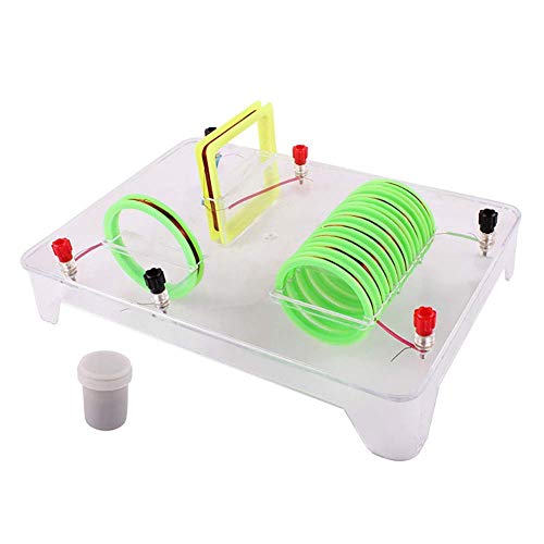ELUKHT Pädagogisches Wissenschaftsmodell, physikalischer Strom, Magnetfeldmagnet, runde quadratische Spule, Eisenpulver, Physikalischer Elektromagnetismus, Experiment, Lehrinstrument ELUKHT Pädagogisches Wissenschaftsmodell, physikalischer Strom, Magnetfeldmagnet, runde quadratische Spule, Eisenpulver, Physikalischer Elektromagnetismus, Experiment, Lehrinstrument von ELUKHT