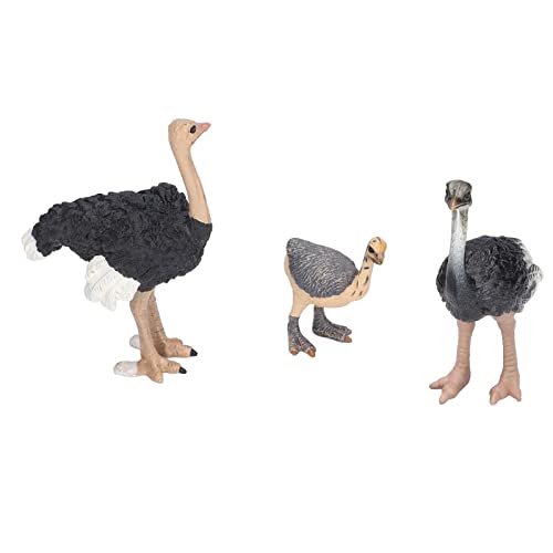 Straußenspielzeug Handgemalte Färbung Exquisite Handwerk Fein Handwerk Tierfiguren mit Bequemem Griff von EMUKOEP
