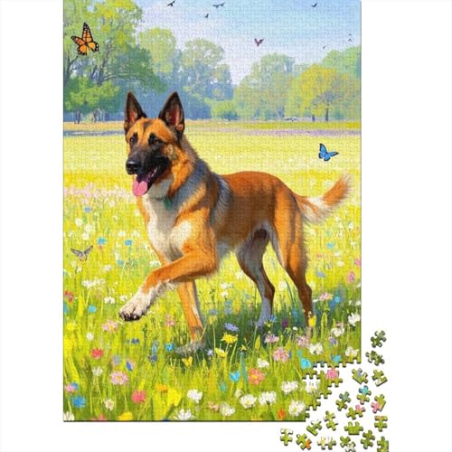 Puzzle 1000 Teile Belgischer Malinois im Grasland, Für Kinder Classic Idoor-Puzzle-Kreativspiel Holzpuzzles Als Geschenk 1000pcs (75x50cm) von EMYXPAQM