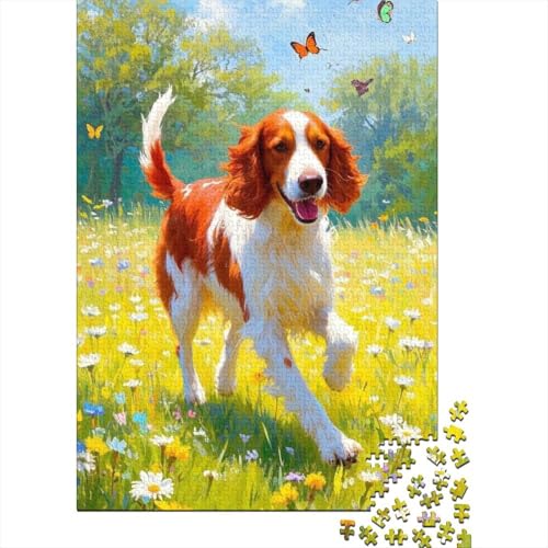 Puzzle 1000 Teile Irischer Setter im Grasland, Für Kinder Classic Herausforderndes Puzzle Holzspielzeug Als Geschenk 1000pcs (75x50cm) von EMYXPAQM