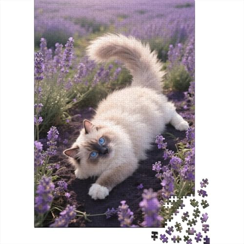Ragdoll Katze Lavendelfeld Puzzle 1000 Teile Holzspielzeug, Erwachsene & Kinder Ab 14 Jahren, Klassische Puzzles, Legespiel, Moderne Wohnkultur, Geschenk 1000pcs (75x50cm) von EMYXPAQM