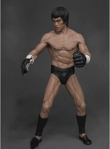 ENFILY Bruce Lee Anime Actionfigur Charakter Sammelmodell Statue Spielzeug PVC Figuren Desktop Ornamente (19cm) von ENFILY