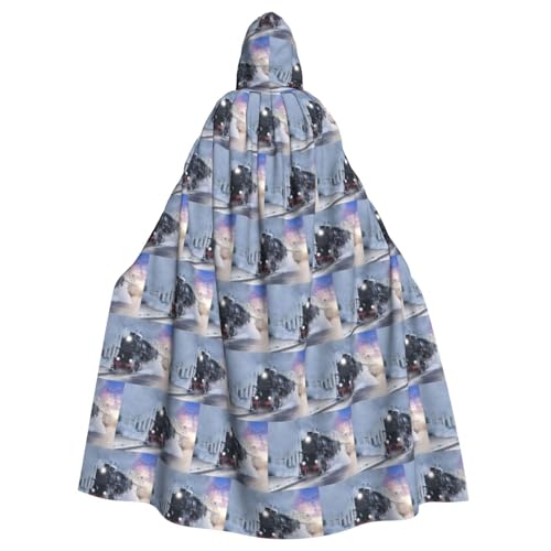 ENGhjes Kapuzenumhang für Erwachsene, Motiv: Dampfzug, Abfahrt, Sonnenuntergang, Cosplay, Halloween, 140 cm lang, Themenpartys von ENGhjes