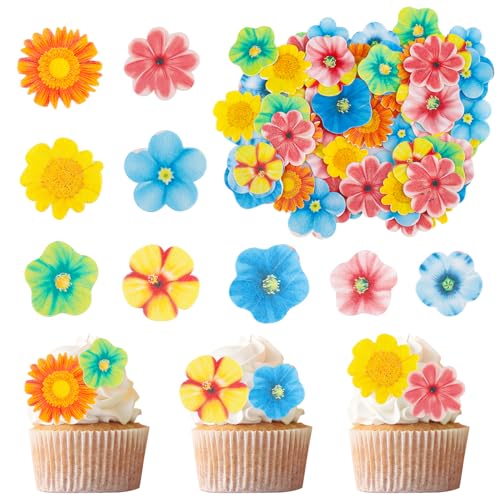 ENLACE 80 Stück Essbare Blumen für Torte,Bunte Essbare Blumen Cupcake Topper,Blumen Party Essbare Blüten Tortendeko,Oblatenpapier Blumen Kuchen Deko für Hochzeit,Geburtstag,Babyparty ENLACE 80 Stück Essbare Blumen für Torte,Bunte Essbare Blumen Cupcake Topper,Blumen Party Essbare Blüten Tortendeko,Oblatenpapier Blumen Kuchen Deko für Hochzeit,Geburtstag,Babyparty von ENLACE