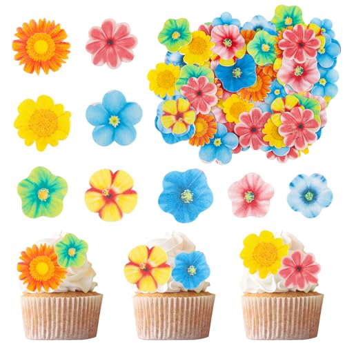 ENLACE 80 Stück Essbare Blumen für Torte,Bunte Essbare Blumen Cupcake Topper,Blumen Party Essbare Blüten Tortendeko,Oblatenpapier Blumen Kuchen Deko für Hochzeit,Geburtstag,Babyparty von ENLACE